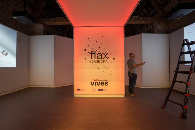 The Flax Vives 1 van 8